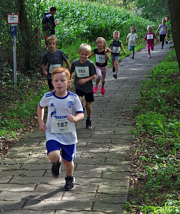 Bambini auf der Strecke